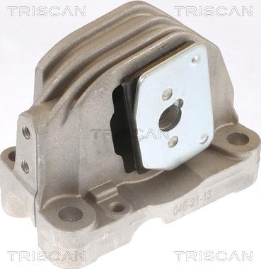 Triscan 8505 27110 - Piekare, Dzinējs www.autospares.lv