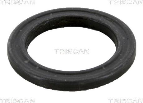 Triscan 8500 10905 - Rolling Bearing, suspension strut support mounting www.autospares.lv