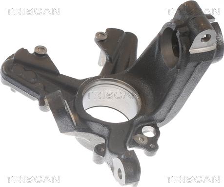 Triscan 8500 29704 - Поворотный кулак, подвеска колеса www.autospares.lv