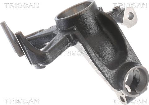 Triscan 8500 29704 - Поворотный кулак, подвеска колеса www.autospares.lv