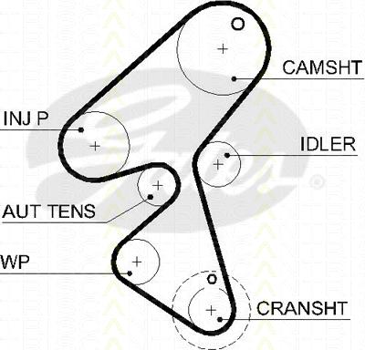 Triscan 8645 5589xs - Timing Belt www.autospares.lv