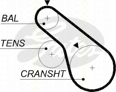 Triscan 8645 5570xs - Timing Belt www.autospares.lv