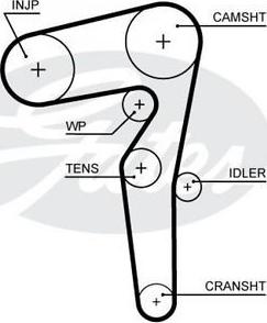 Triscan 8645 5646xs - Timing Belt www.autospares.lv