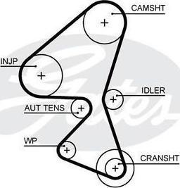 Triscan 8645 5656xs - Timing Belt www.autospares.lv