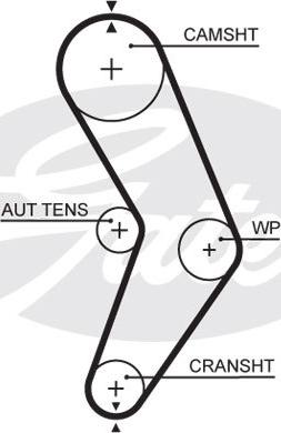 Triscan 8645 5662xs - Timing Belt www.autospares.lv