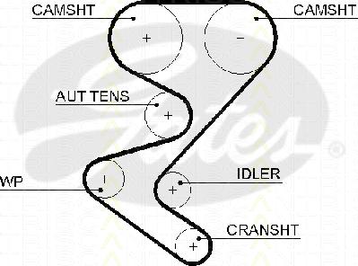 Triscan 8645 5608xs - Timing Belt www.autospares.lv