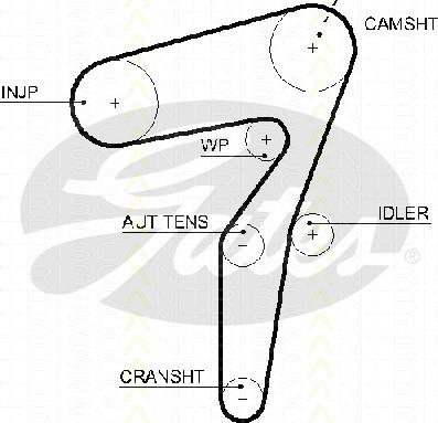 Triscan 8645 5623xs - Timing Belt www.autospares.lv