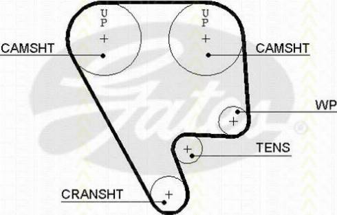 Triscan 8645 5349xs - Timing Belt www.autospares.lv