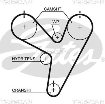 Triscan 8645 t255 - Timing Belt www.autospares.lv