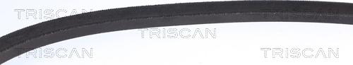 Triscan 8640 171045 - Ķīļsiksna www.autospares.lv