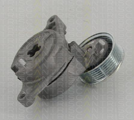 Triscan 8641 502003 - Siksnas spriegotājs, Ķīļsiksna www.autospares.lv