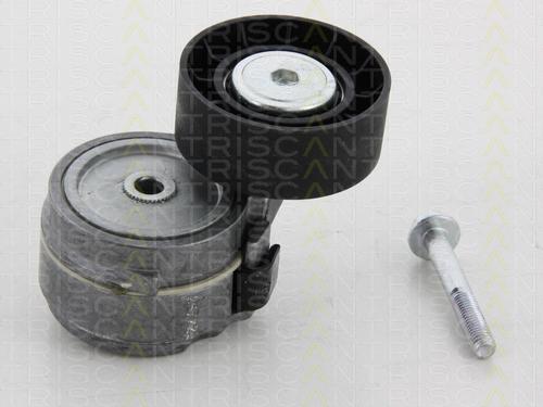 Triscan 8641 153011 - Siksnas spriegotājs, Ķīļsiksna www.autospares.lv