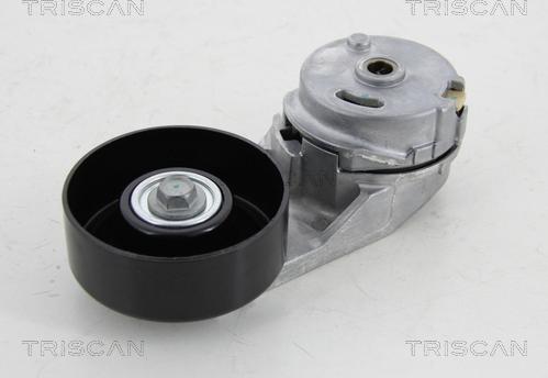 Triscan 8641 103044 - Siksnas spriegotājs, Ķīļsiksna www.autospares.lv