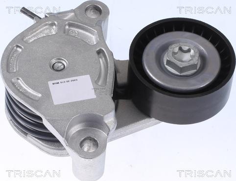 Triscan 8641 113041 - Siksnas spriegotājs, Ķīļsiksna www.autospares.lv