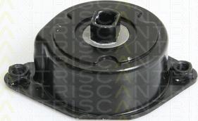 Triscan 8641 113028 - Натяжитель, поликлиновый ремень www.autospares.lv