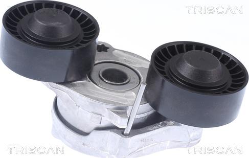 Triscan 8641 173006 - Siksnas spriegotājs, Ķīļsiksna www.autospares.lv