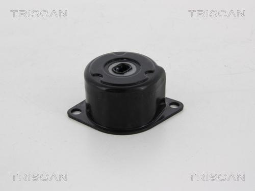 Triscan 8641 293043 - Siksnas spriegotājs, Ķīļsiksna www.autospares.lv