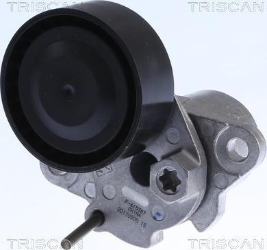 Triscan 8641 293054 - Belt Tensioner, v-ribbed belt www.autospares.lv