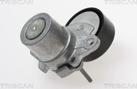 Triscan 8641 293055 - Siksnas spriegotājs, Ķīļsiksna www.autospares.lv