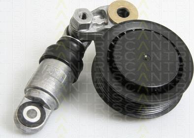 Triscan 8641 293030 - Siksnas spriegotājs, Ķīļsiksna www.autospares.lv