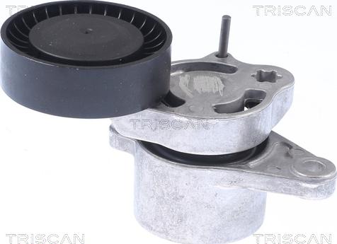 Triscan 8641 233030 - Siksnas spriegotājs, Ķīļsiksna www.autospares.lv