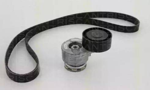 Triscan 8642 25001 - Поликлиновый ременный комплект www.autospares.lv