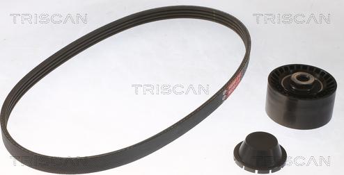 Triscan 8642 25017 - Ķīļrievu siksnu komplekts www.autospares.lv