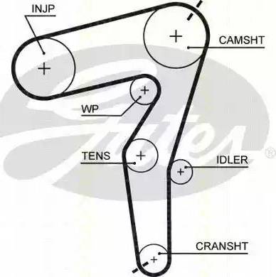 Triscan 8647 10075 - Timing Belt Set www.autospares.lv