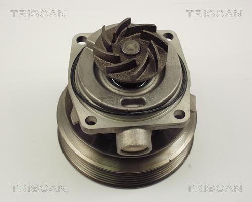 Triscan 8600 10006 - Ūdenssūknis autospares.lv