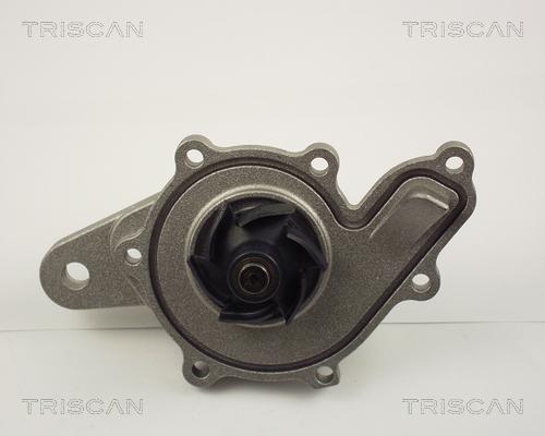 Triscan 8600 10014 - Ūdenssūknis www.autospares.lv