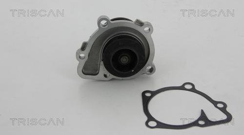 Triscan 8600 10036 - Ūdenssūknis autospares.lv