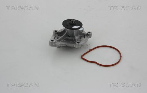 Triscan 8600 10032 - Ūdenssūknis autospares.lv