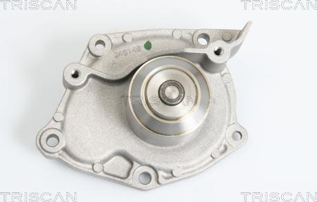 Triscan 8600 10025 - Water Pump www.autospares.lv