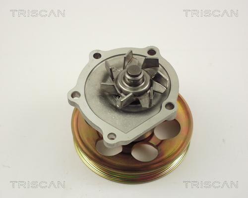 Triscan 8600 13010 - Water Pump www.autospares.lv