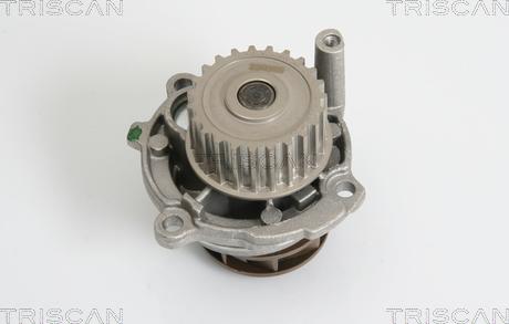 Triscan 8600 29043 - Water Pump www.autospares.lv