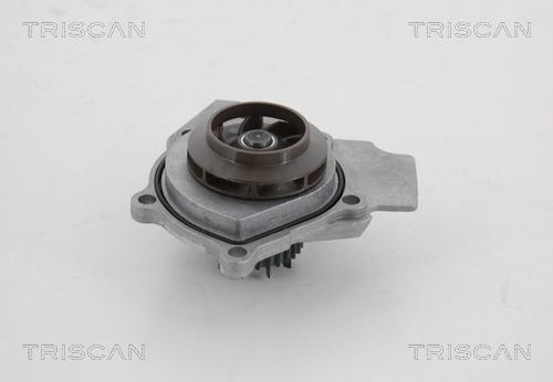 Triscan 8600 29057 - Ūdenssūknis autospares.lv