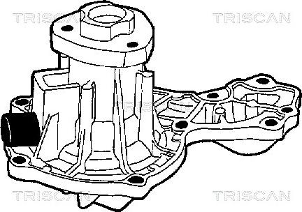 Triscan 8600 29812 - Водяной насос www.autospares.lv