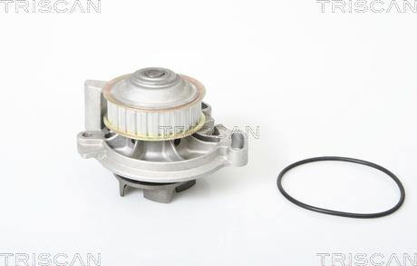 Triscan 8600 29391 - Ūdenssūknis www.autospares.lv