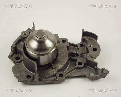 Triscan 8600 25013 - Ūdenssūknis autospares.lv