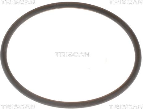 Triscan 8620 9688 - Термостат охлаждающей жидкости / корпус www.autospares.lv