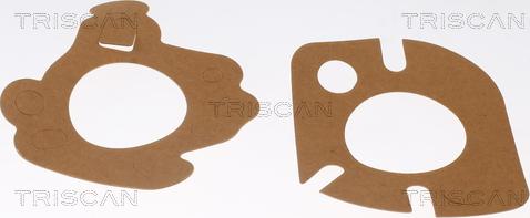 Triscan 8620 10282 - Termostats, Dzesēšanas šķidrums www.autospares.lv