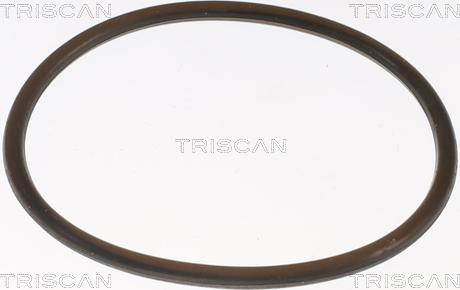 Triscan 8620 8888 - Termostats, Dzesēšanas šķidrums autospares.lv