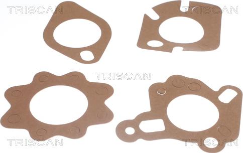 Triscan 8620 2188 - Termostats, Dzesēšanas šķidrums www.autospares.lv