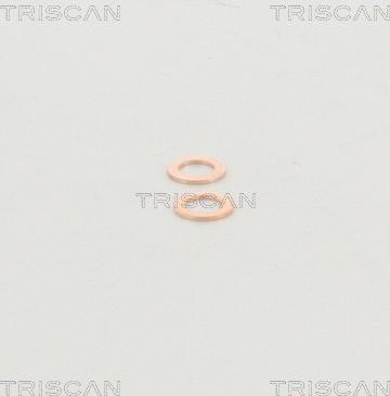 Triscan 8150 29132 - Bremžu šļūtene www.autospares.lv