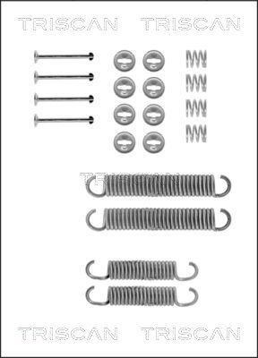 Triscan 8105 702196 - Accessory Kit, brake shoes www.autospares.lv