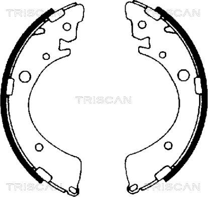 Triscan 8100 40441 - Bremžu loku komplekts autospares.lv