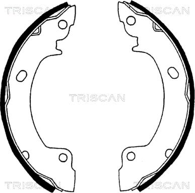 Triscan 8100 43529 - Bremžu loku komplekts autospares.lv