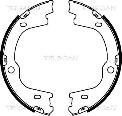 Triscan 8100 43026 - Brake Shoe Set, parking brake www.autospares.lv