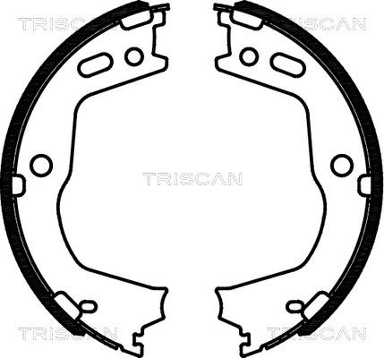 Triscan 8100 43028 - Brake Shoe Set, parking brake www.autospares.lv