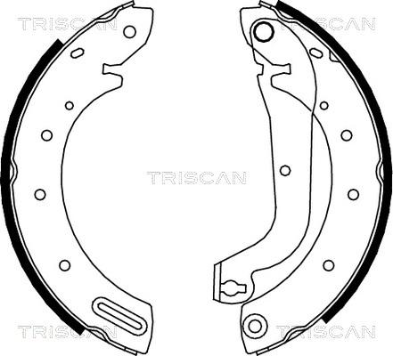 Triscan 8100 14596 - Bremžu loku komplekts autospares.lv